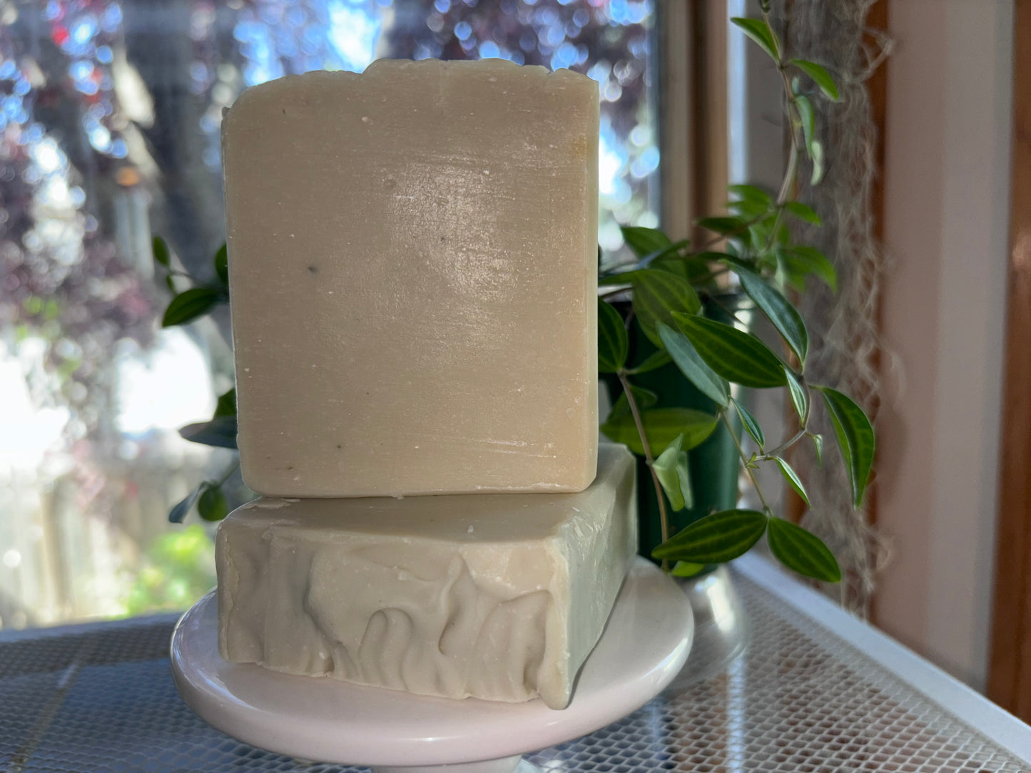 Bergamot and Green Tea